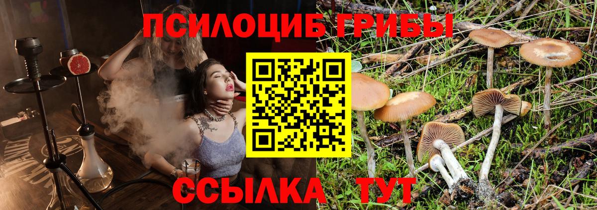 Псилоцибиновые грибы Psilocybine cubensis  Вход с VPN  Урус-Мартан  Псилоцибиновые грибы Psilocybine cubensis 