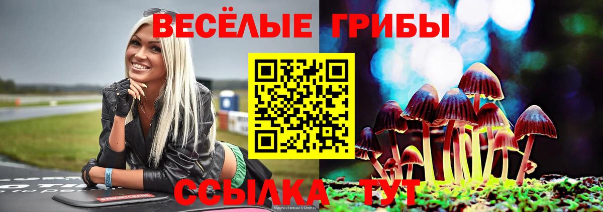 Псилоцибиновые грибы MAGIC MUSHROOMS Урус-Мартан